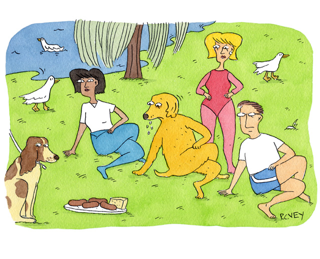 dog yoga illo